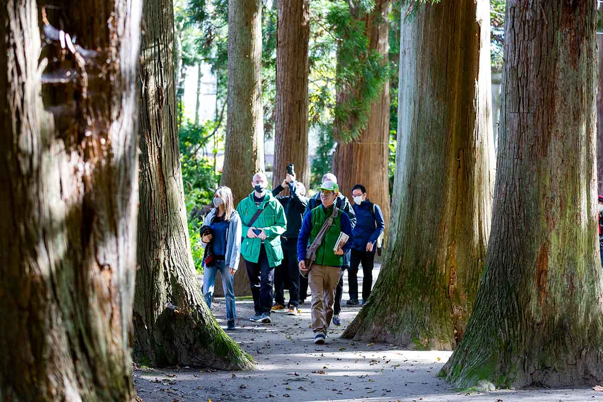 Japan_Tohoku-travel-program_Storied-Soil-–-Natural-and-Cultural-Wonders-of-Tohoku_-Japan-Towadako-forest
