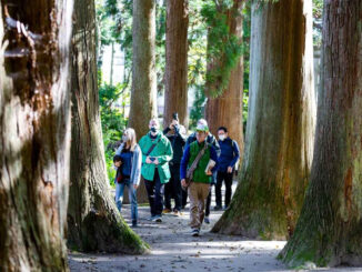 Storied-Soil-tohoku-japan