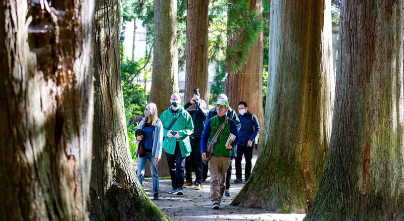 Storied-Soil-tohoku-japan